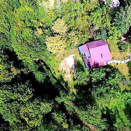 Mystically Wood House In The Forest Carjari Ngoại thất bức ảnh