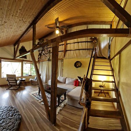 Mystically Wood House In The Forest Carjari Ngoại thất bức ảnh