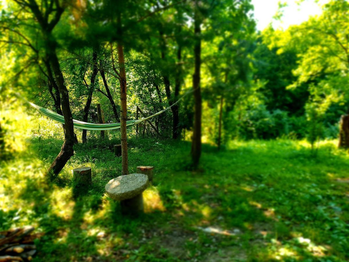 Mystically Wood House In The Forest Carjari Ngoại thất bức ảnh