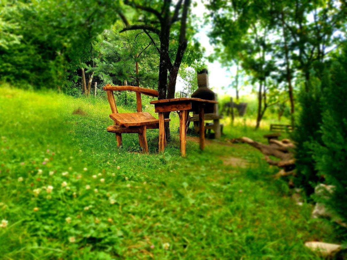 Mystically Wood House In The Forest Carjari Ngoại thất bức ảnh