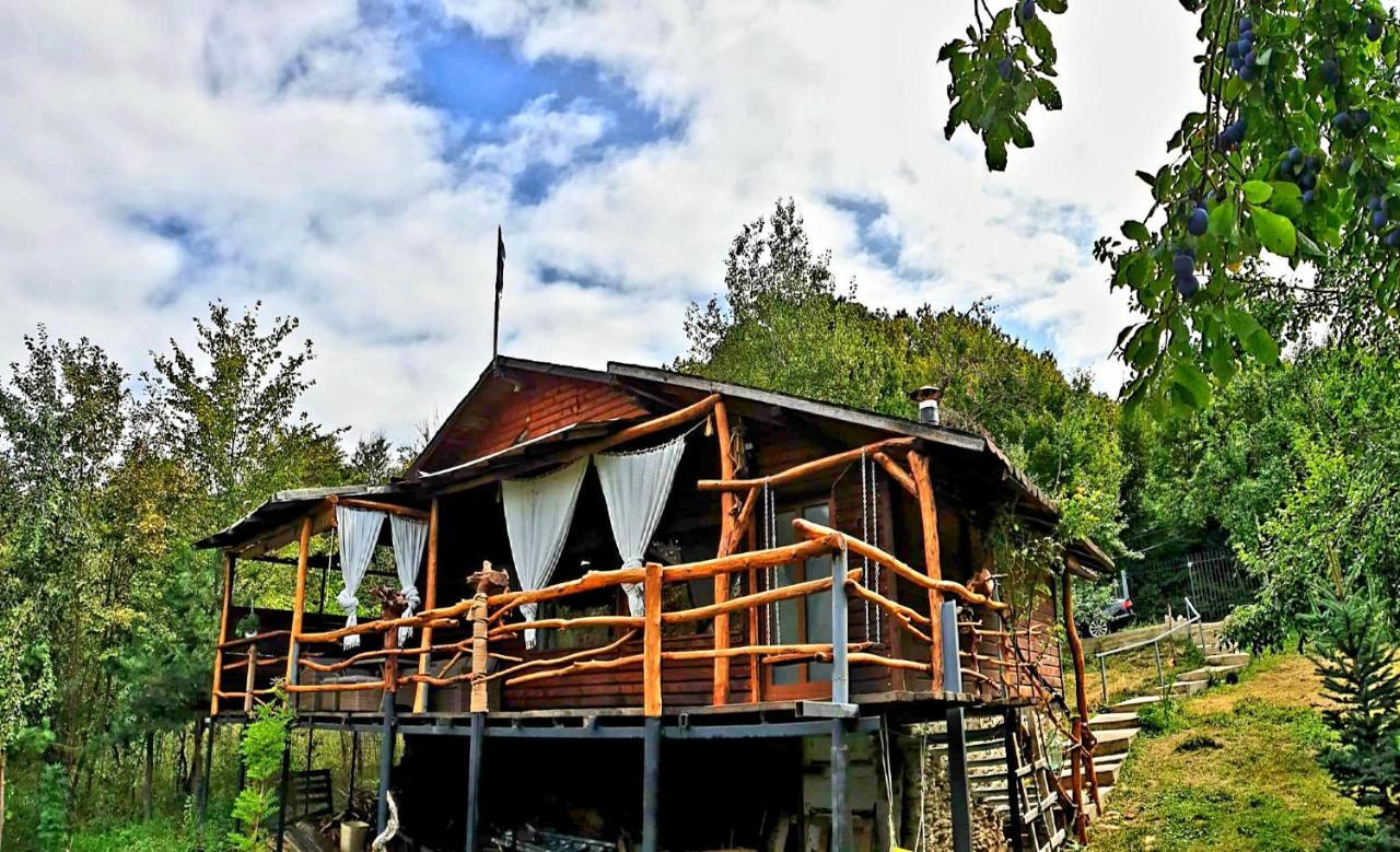 Mystically Wood House In The Forest Carjari Ngoại thất bức ảnh