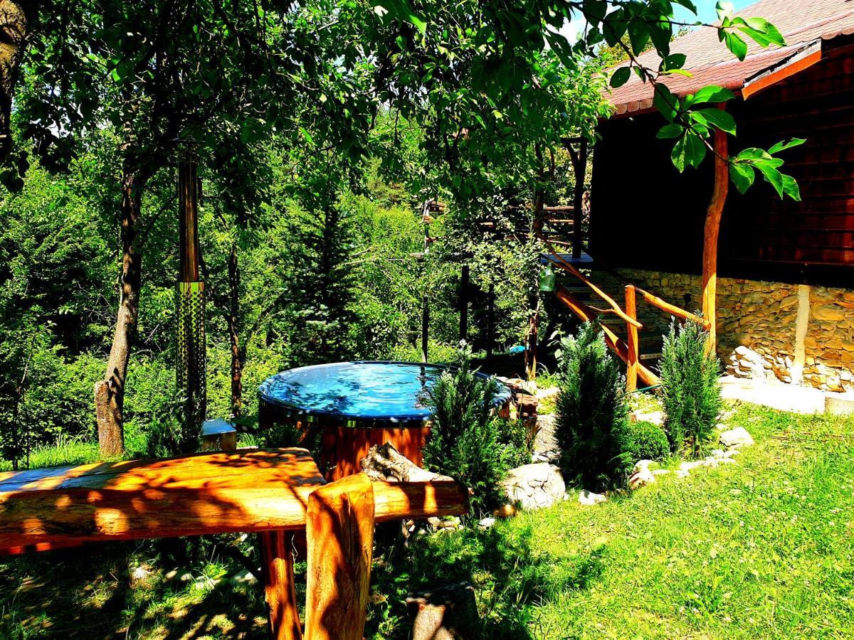 Mystically Wood House In The Forest Carjari Ngoại thất bức ảnh