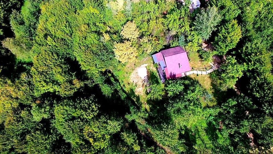 Mystically Wood House In The Forest Carjari Ngoại thất bức ảnh